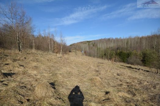Działka rekreacyjna na sprzedaż Babice 2 400m2 Foto 3