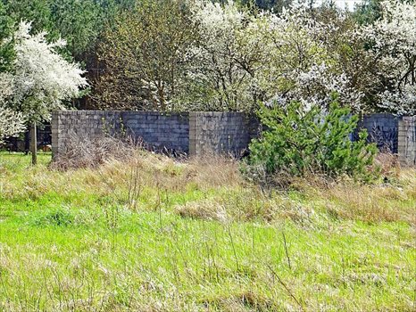 Działka inwestycyjna pod dzierżawę Grudziądz 4 500m2 Foto 4