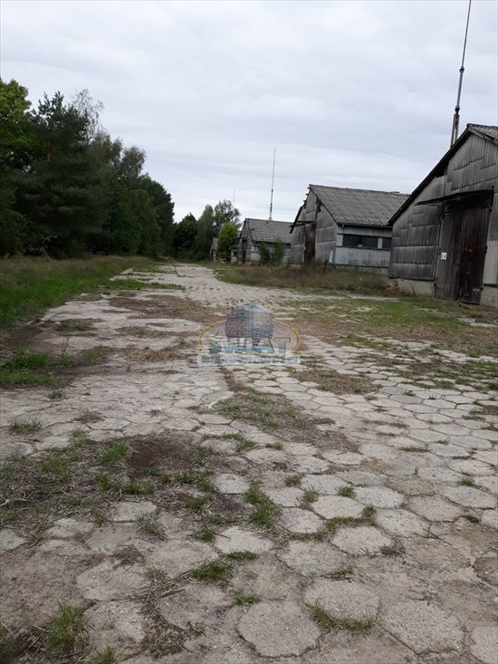 Lokal użytkowy na sprzedaż Piasecznik 61 443m2 Foto 3