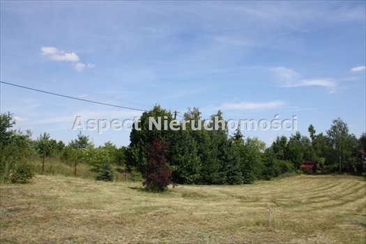 Działka budowlana na sprzedaż Matyldów 807m2 Foto 5