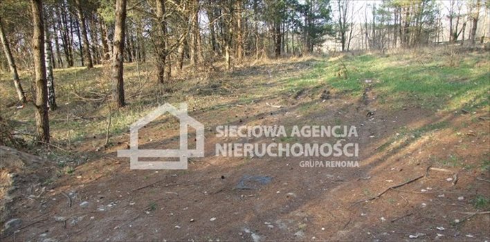 Działka budowlana na sprzedaż Gołubie 1 192m2 Foto 4