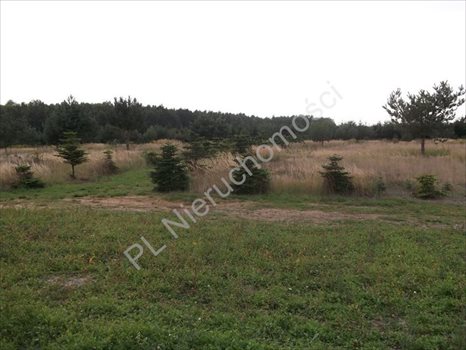 Działka rolna na sprzedaż Grzegorzewice 25 483m2 Foto 2