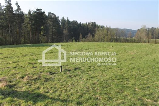 Działka budowlana na sprzedaż Lubowidz 1 760m2 Foto 2