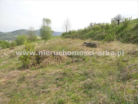 Działka budowlana na sprzedaż Limanowa 3 676m2 Foto 6