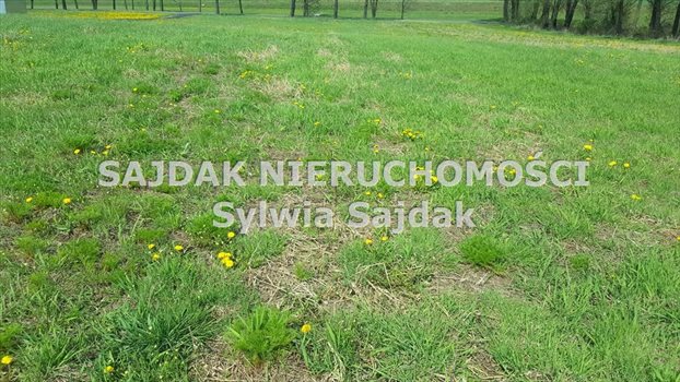 Działka budowlana na sprzedaż Jastrzębie-Zdrój, Szeroka 1 126m2 Foto 2