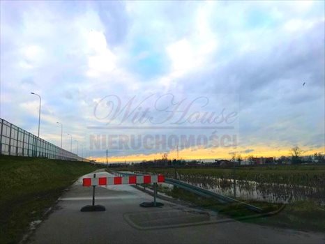 Działka inwestycyjna na sprzedaż Opacz-Kolonia 5 500m2 Foto 6