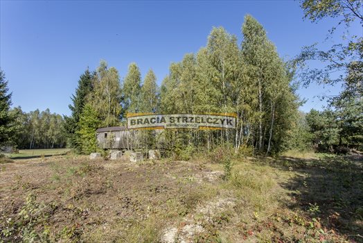 Działka budowlana na sprzedaż Płatków 3 900m2 Foto 10