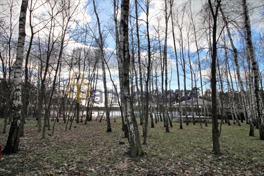 Dom na sprzedaż Nowy Dębiec 400m2 Foto 8