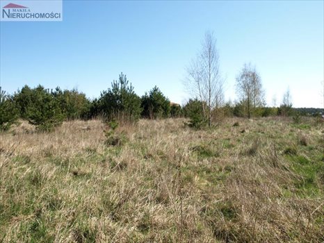 Działka inna na sprzedaż Starogard Gdański, Rokocin, x 980m2 Foto 6