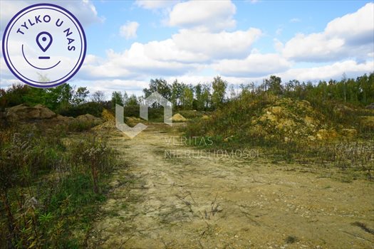 Działka inwestycyjna na sprzedaż Piekary Śląskie, Brzeziny Śląskie, Bednorza 30 775m2 Foto 3