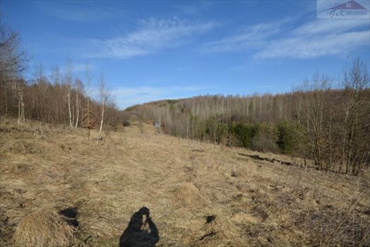 Działka rekreacyjna na sprzedaż Babice 2 400m2 Foto 4