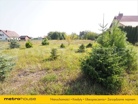 Działka inna na sprzedaż Parypse, Chełm 2 252m2 Foto 3