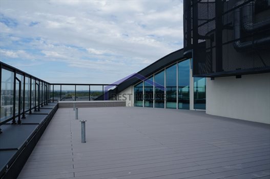 Lokal użytkowy na sprzedaż Wrocław, Stare Miasto, Legnicka 229m2 Foto 10