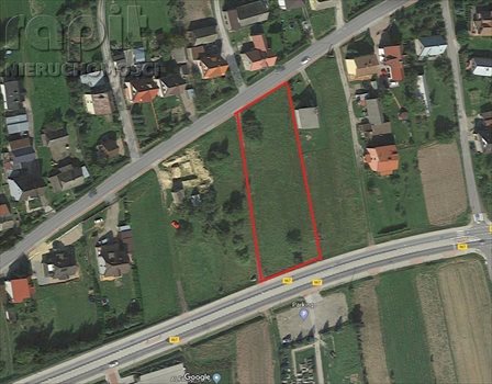 Działka budowlana na sprzedaż Borzęta 2 700m2 Foto 6