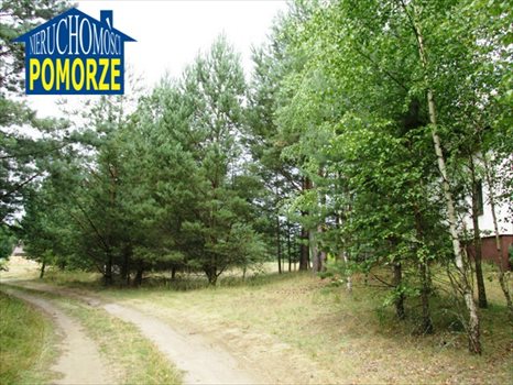 Działka budowlana na sprzedaż Kiełpin 968m2 Foto 4