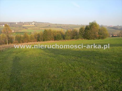 Działka inna na sprzedaż Pogorzany 1 100m2 Foto 2