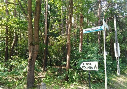 Działka budowlana na sprzedaż Prace Duże 1 456m2 Foto 3