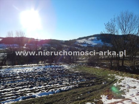Działka budowlana na sprzedaż Wilczyce 1 900m2 Foto 2