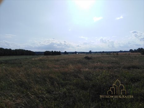Działka budowlana na sprzedaż Dąbrowa 1 700m2 Foto 4