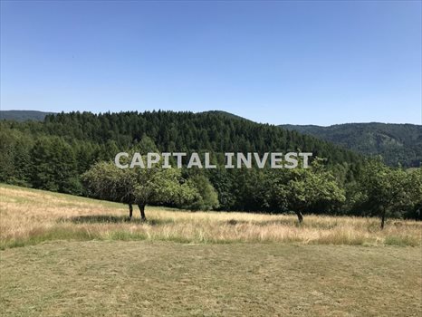 Dom na sprzedaż Porąbka 110m2 Foto 4