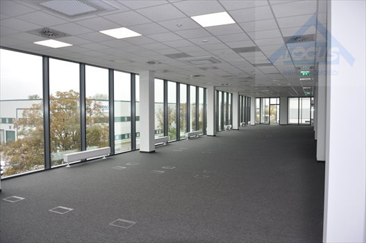 Lokal użytkowy na wynajem Warszawa, Targówek 530m2 Foto 12