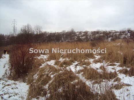 Działka budowlana na sprzedaż Wałbrzych, Piaskowa Góra 7 968m2 Foto 6