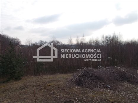 Działka budowlana na sprzedaż Łapalice 2 209m2 Foto 7