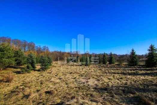 Działka inna na sprzedaż Bielkówko, Dworcowa 10 000m2 Foto 8