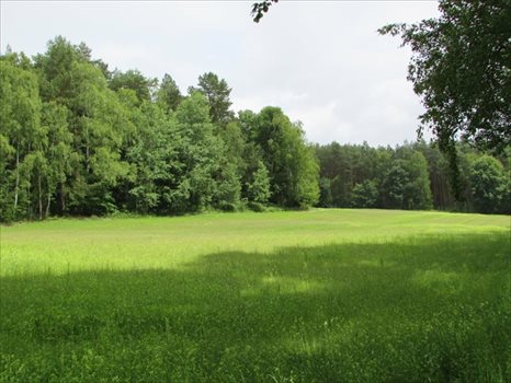 Działka rolna na sprzedaż Łagówek 16 100m2 Foto 2