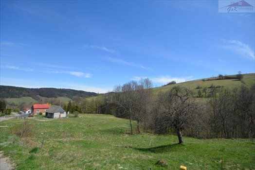Działka rekreacyjna na sprzedaż Hołuczków 800m2 Foto 4