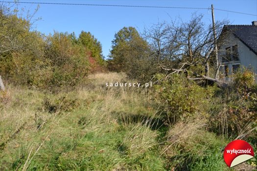 Działka budowlana na sprzedaż Grajów 3 700m2 Foto 4