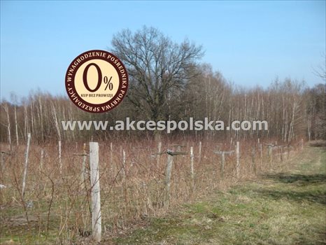 Działka inna na sprzedaż Kazimierz Dolny, Góry 3 300m2 Foto 7