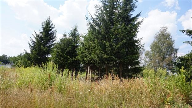 Działka budowlana na sprzedaż Kobylnica, Dolinowa 1 256m2 Foto 11
