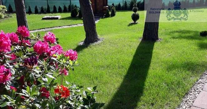 Działka rekreacyjna na sprzedaż Nowe Załubice 1 500m2 Foto 4