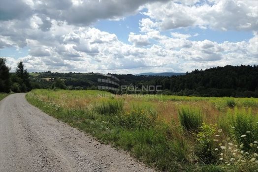 Działka budowlana na sprzedaż Włosań, Spacerowa 1 200m2 Foto 4