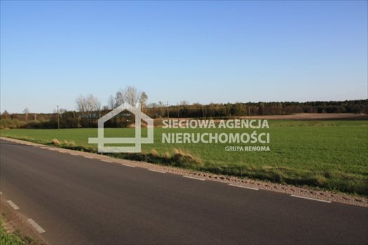 Działka siedliskowa na sprzedaż Stara Kiszewa 8 767m2 Foto 6