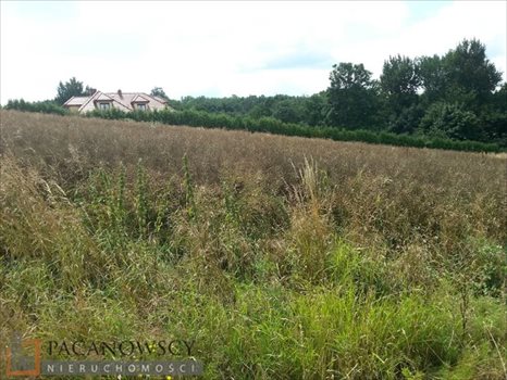 Działka budowlana na sprzedaż Sułkowice 900m2 Foto 2