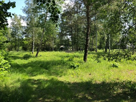 Działka inna na sprzedaż Kamień, Jarzębia 6 800m2 Foto 4