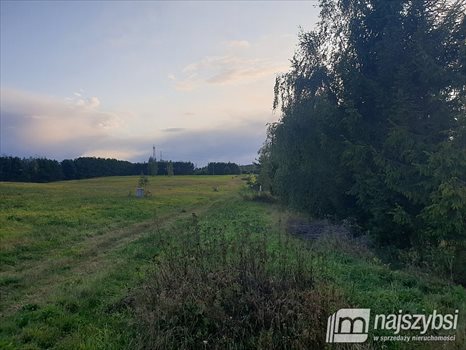 Działka budowlana na sprzedaż Jagatowo 998m2 Foto 4