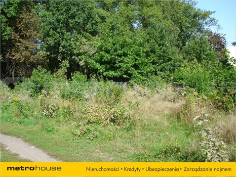 Działka inna na sprzedaż Łódź, Bałuty 3 576m2 Foto 6