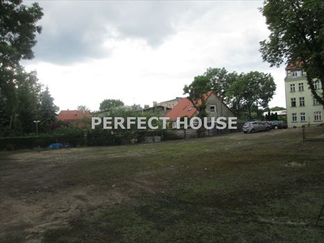 Lokal użytkowy na sprzedaż Szamotuły 1 592m2 Foto 11