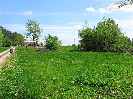 Działka rekreacyjna na sprzedaż Ujkowice 2 600m2 Foto 8