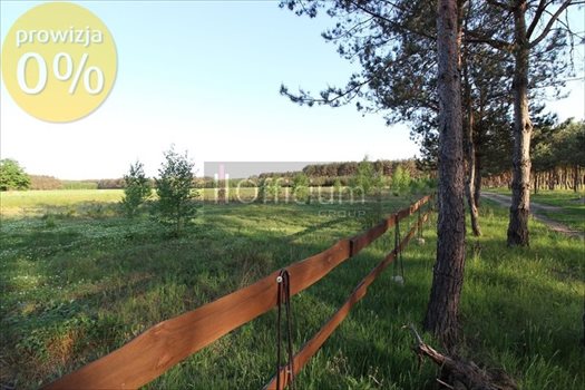 Działka budowlana na sprzedaż Kamieńczyk 1 000m2 Foto 3
