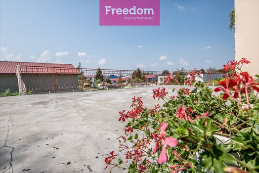 Dom na sprzedaż Gronowo Górne, Berylowa 350m2 Foto 7