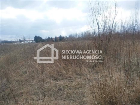 Działka przemysłowo-handlowa na sprzedaż Kębłowo 5 241m2 Foto 4