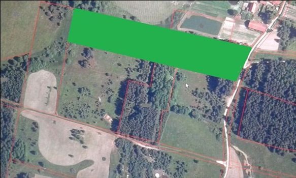 Działka budowlana na sprzedaż Orzechowo, Skraj Wsi, Orzechowo 25 000m2 Foto 1