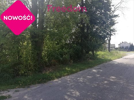 Działka budowlana na sprzedaż Głowno, Graniczna 1 464m2 Foto 4