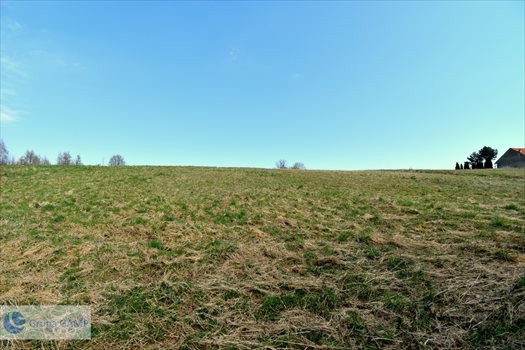 Działka inna na sprzedaż Barwałd Górny 8 066m2 Foto 4