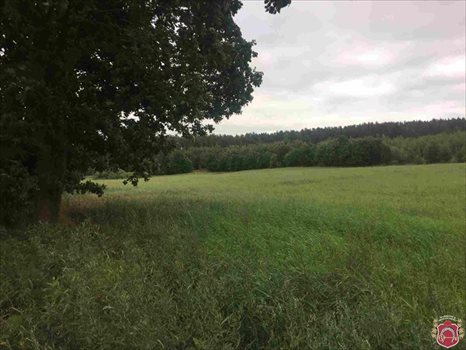 Działka budowlana na sprzedaż Koleczkowo, Łabędzia 2 169m2 Foto 8