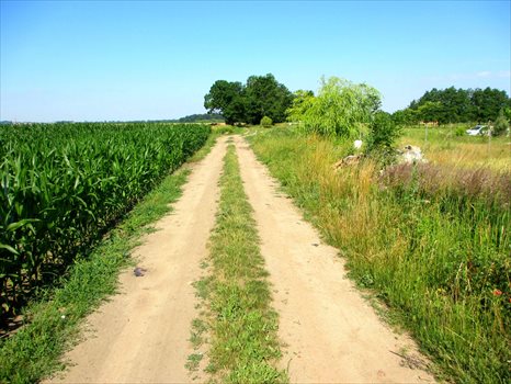 Działka budowlana na sprzedaż Dębowa Łęka, Dębowa Łęka 1 047m2 Foto 4